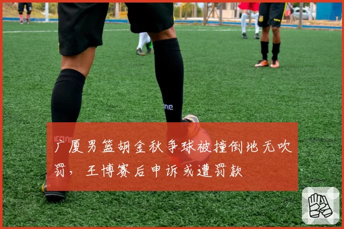 广厦男篮胡金秋争球被撞倒地无吹罚，王博赛后申诉或遭罚款