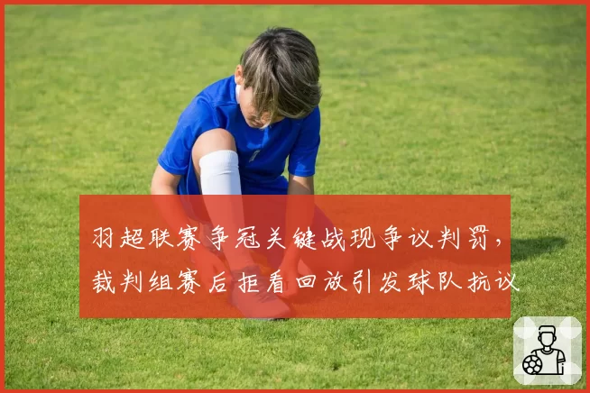 羽超联赛争冠关键战现争议判罚，裁判组赛后拒看回放引发球队抗议
