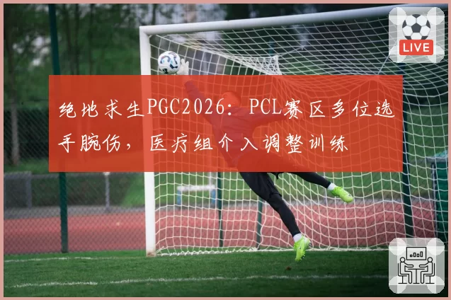 绝地求生PGC2026:PCL赛区多位选手腕伤,医疗组介入调整训练